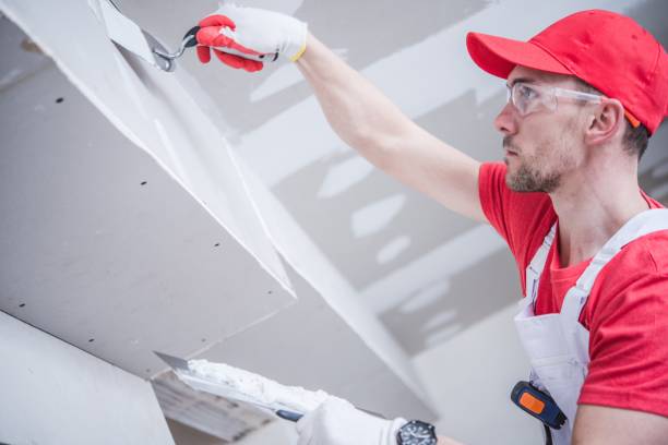 Professional Drywall & Painting Services in Citrus, CA